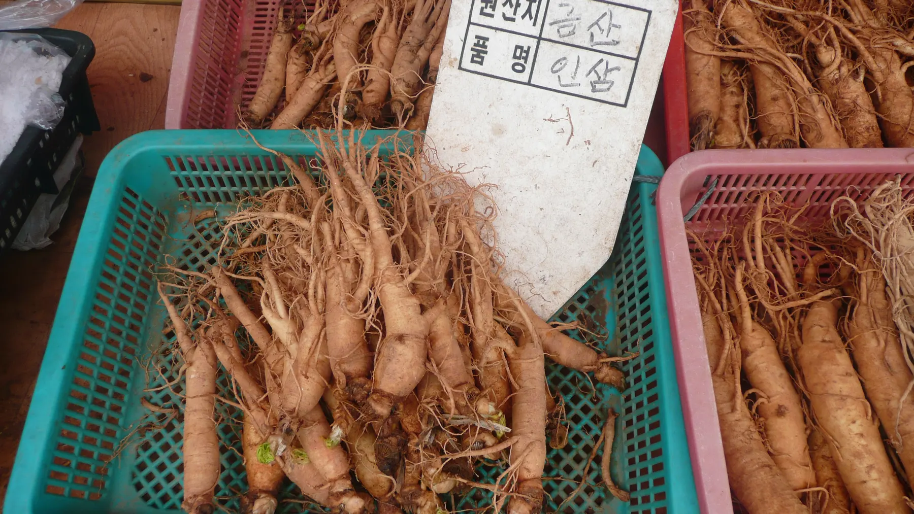 Fresh ginseng roots in plastic market baskets, beside a handwritten sign reading origin: Geumsan, item: ginseng